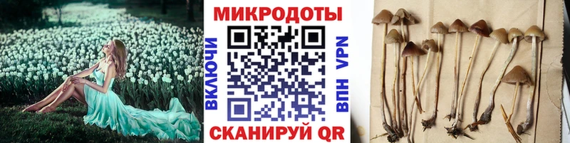Купить где  Медынь  Галлюциногенные грибы MAGIC MUSHROOMS 